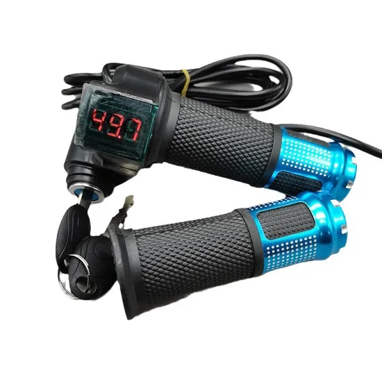 36V WuxingE